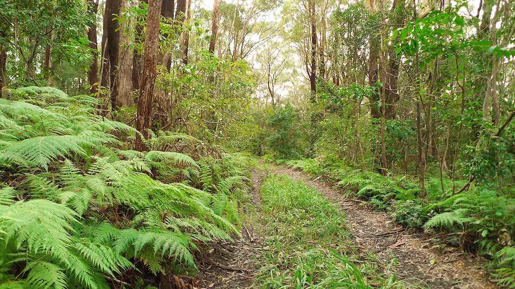 Abelia House Bed & Breakfast Byron Bay 5*,