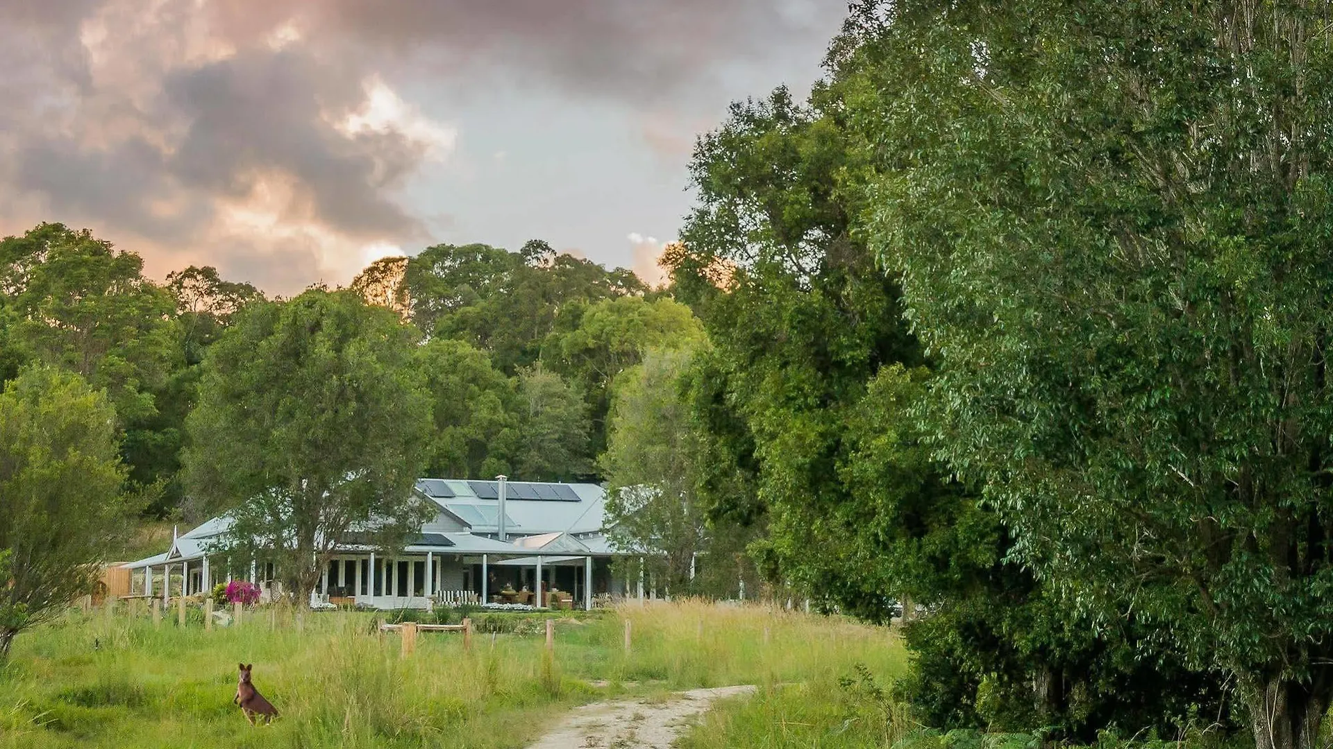Abelia House Bed & Breakfast Byron Bay