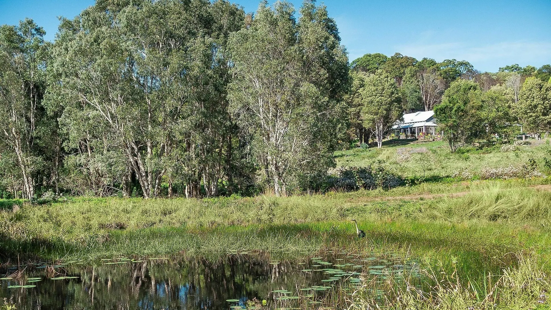 Abelia House Bed & Breakfast Byron Bay 5*,