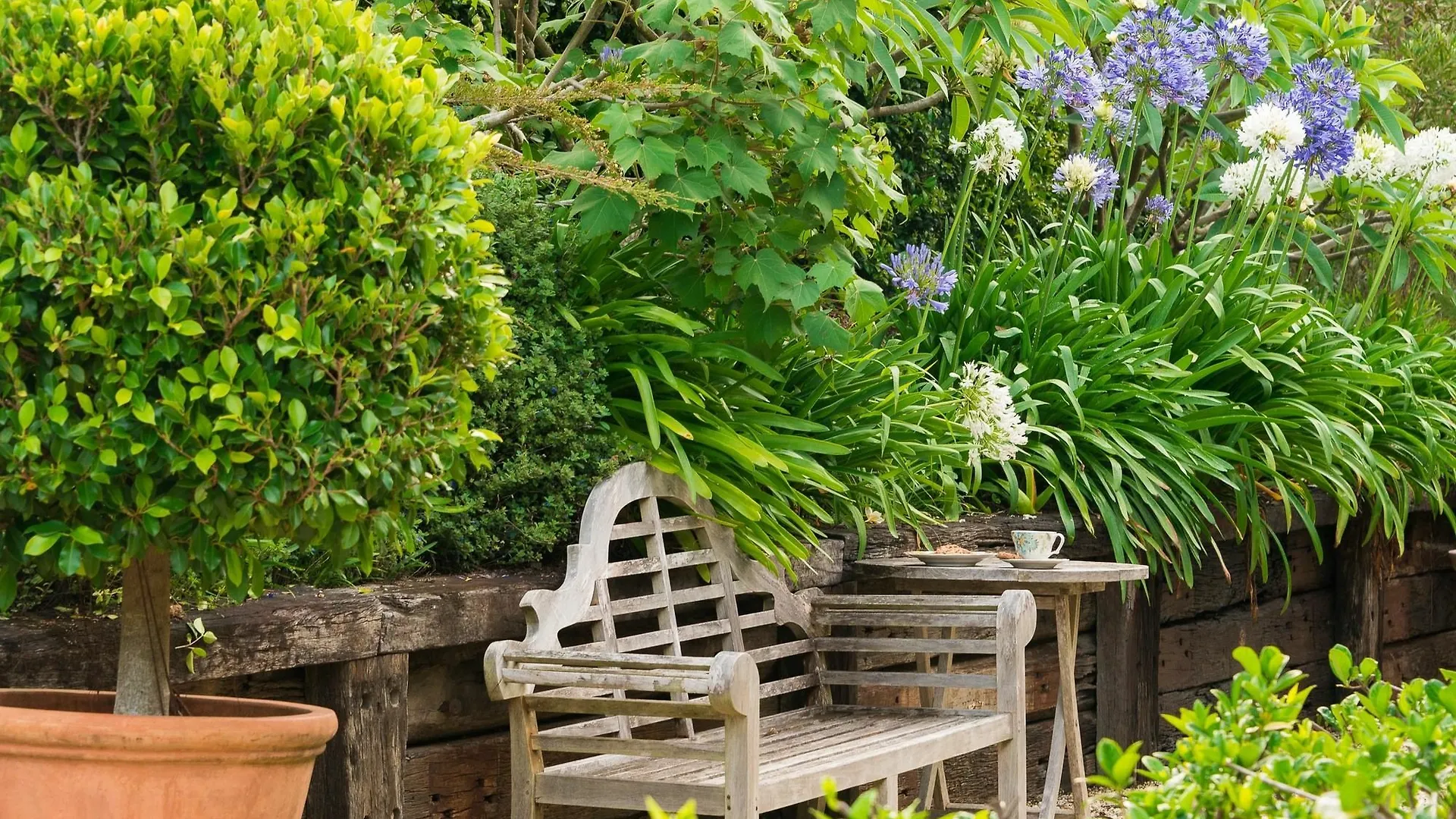 Abelia House Bed & Breakfast Byron Bay 5*,